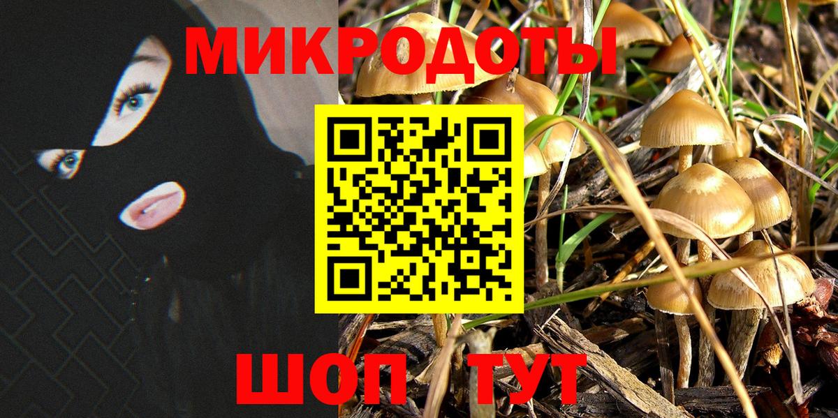 Туапсе  Галлюциногенные грибы мухоморы  Вход с VPN 